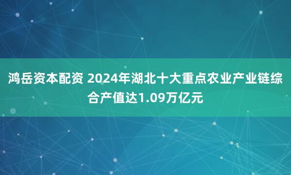 鸿岳资本配资 2024年湖北十大重点农业产业链综合产值达1.09万亿元