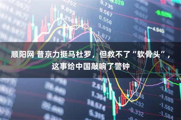 顺阳网 普京力挺马杜罗，但救不了“软骨头”，这事给中国敲响了警钟