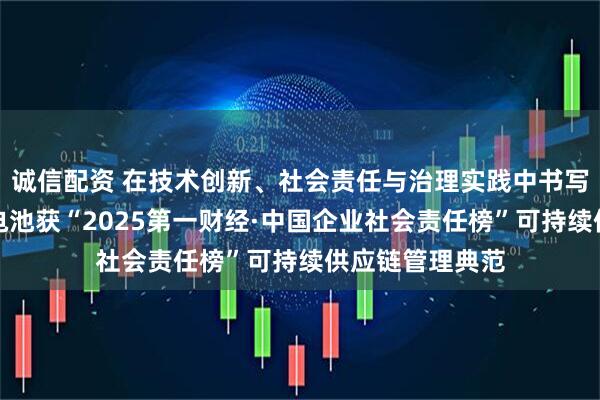 诚信配资 在技术创新、社会责任与治理实践中书写新篇章，弗迪电池获“2025第一财经·中国企业社会责任榜”可持续供应链管理典范