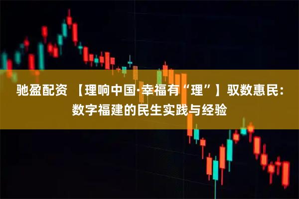 驰盈配资 【理响中国·幸福有“理”】驭数惠民：数字福建的民生实践与经验